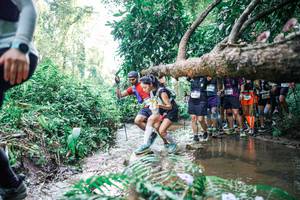 BIB: 
                            <button type="button" onclick="openModal(25473382)" class="btn btn-primary btn-sm float-right btn-popup" data-toggle="modal" data-target=".modal-high-quality">
                        <i class="fas fa-shopping-cart"></i> Add to Cart
                    </button>
                                            <button type="button" onclick="isThisMe(25473382, true)" class="btn btn-success btn-sm float-right btn-popup btn-isme hidden" data-toggle="tooltip" data-placement="bottom" title="นี่คือรูปของคุณใช่ไหม คลิกที่นี่เพื่อเอาเข้าอัลบั้ม">
                        <i class="fas fa-plus"></i> Add to album
                    </button>
                    <button type="button" onclick="isThisMe(25473382, false)" class="btn btn-warning btn-sm float-right btn-popup btn-isnotme hidden">
                        <i class="fas fa-ban"></i> Remove from album
                    </button>